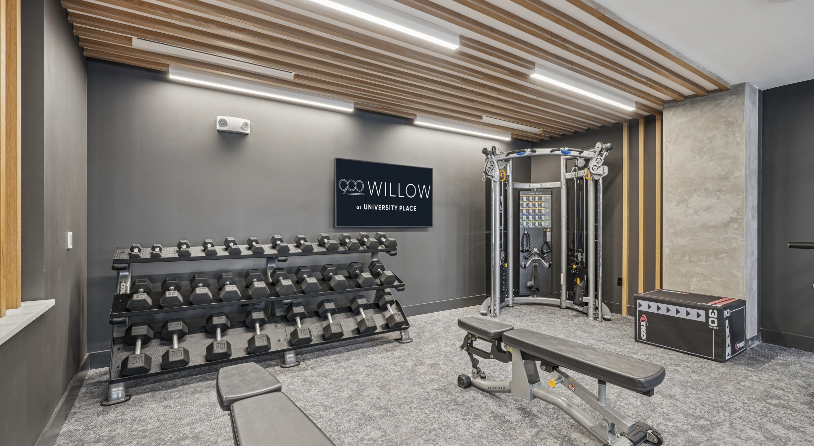 A spacious gym with a squat rack, bench, and weights.